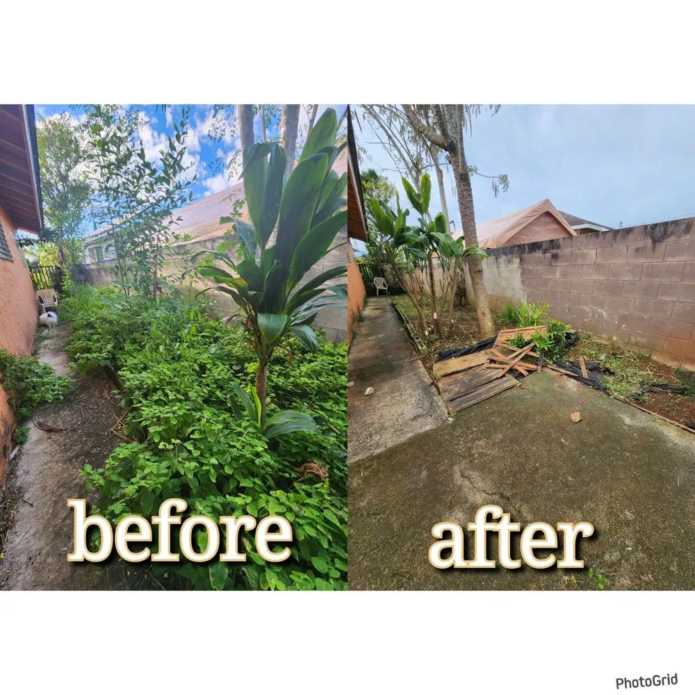 Local lawn care service in Honolulu, HI by CJ Landscape and Yard Maintenance