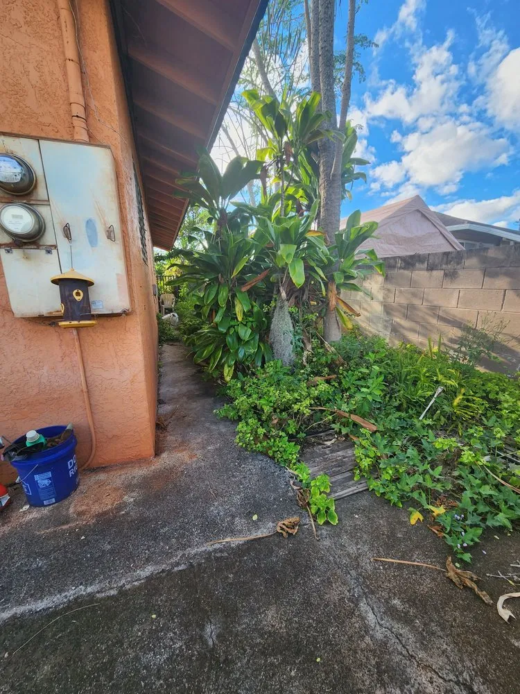 Affordable yard cleanup service in Honolulu, HI by CJ Landscape and Yard Maintenance