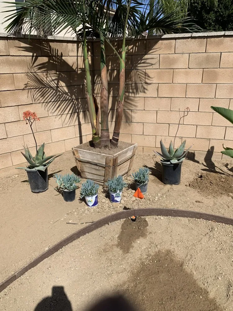 Trusted landscape design experts serving Jurupa Valley, CA - C&J Landscape