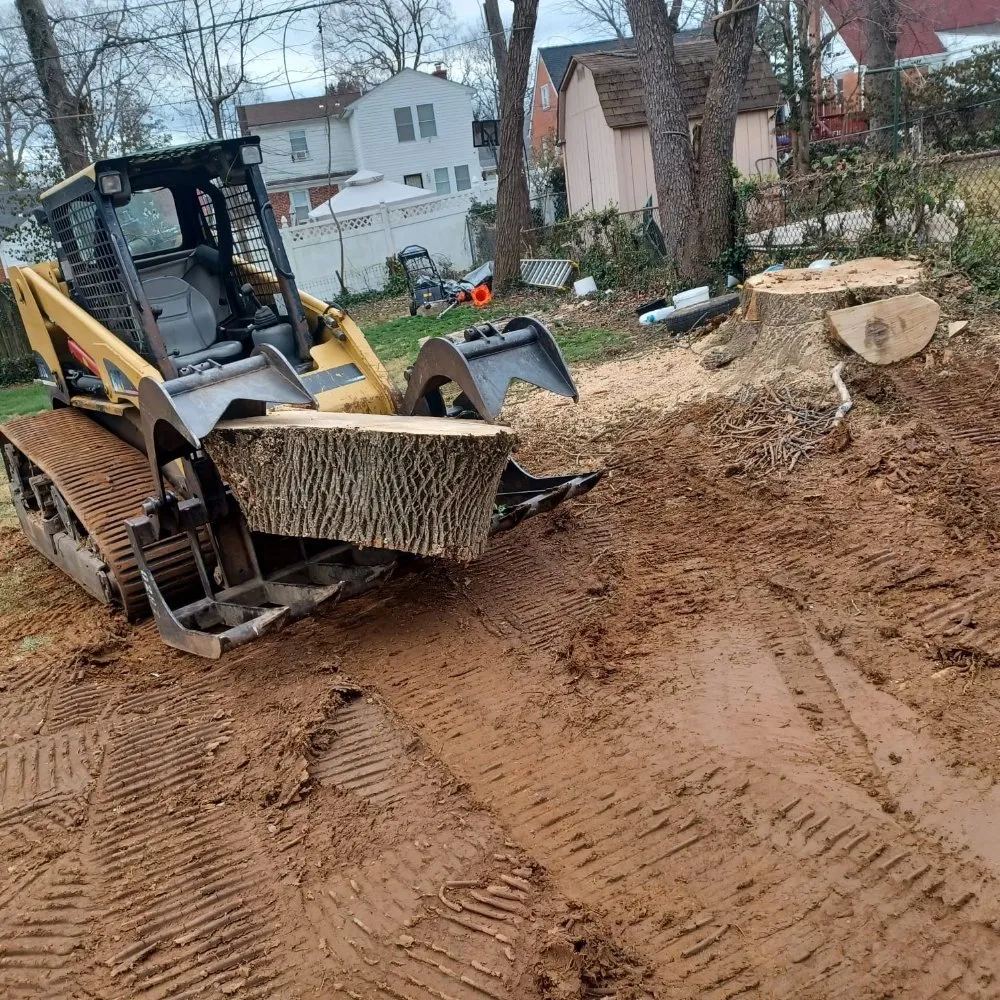 Local yard cleanup service in Baltimore, MD - Cj Landscape Service