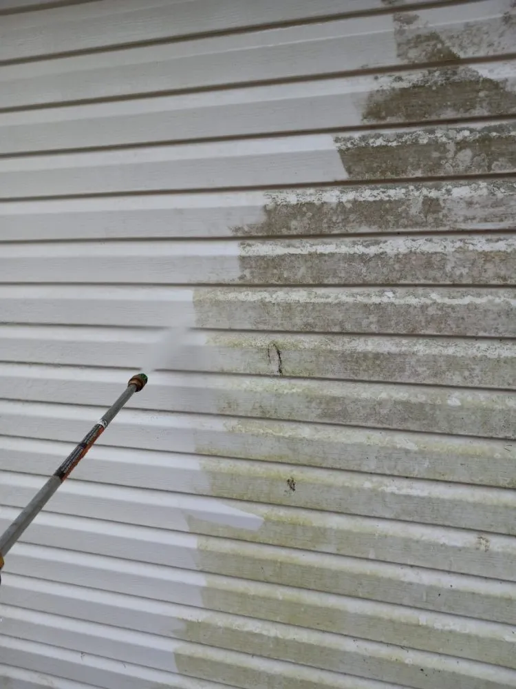 Custom yard cleanup service for outdoor upgrades in Baltimore, MD by Cj Landscape Service