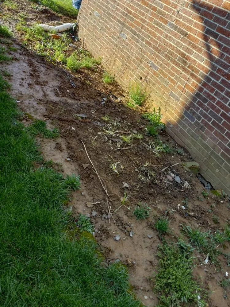 Reliable landscape installation in Baltimore, MD by Cj Landscape Service