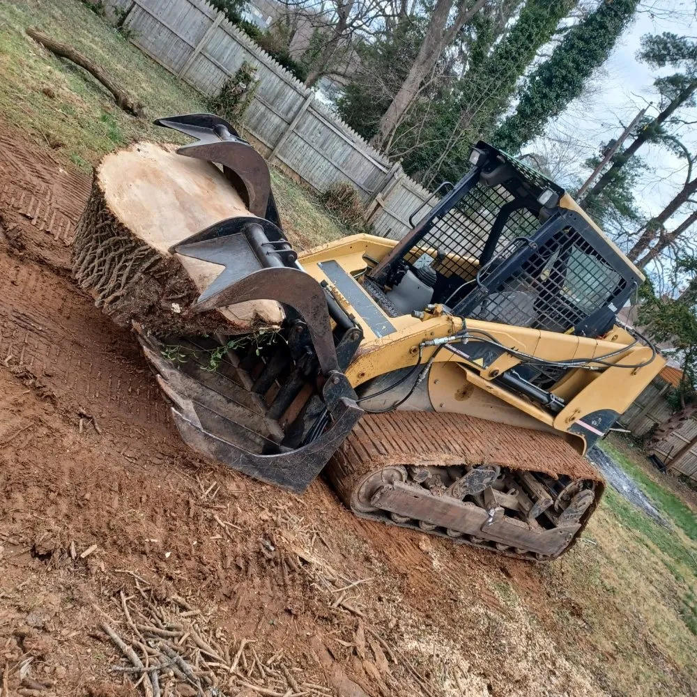 Professional lawn care service in Baltimore, MD - Cj Landscape Service