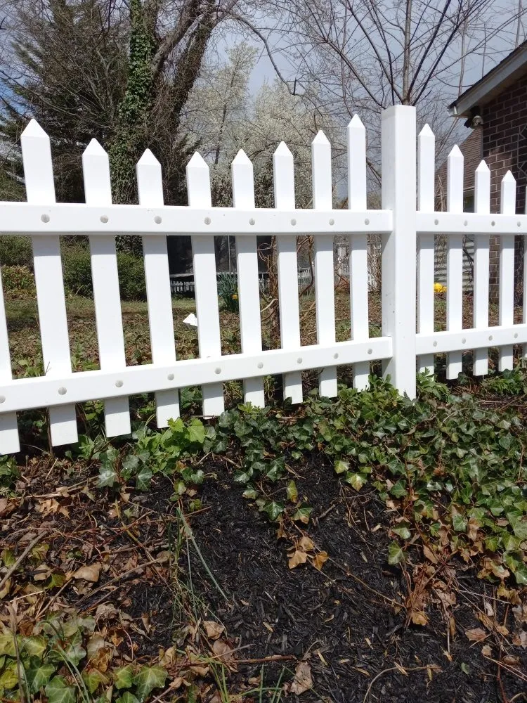 Professional yard cleanup service for beautiful yards in Baltimore, MD by Cj Landscape Service