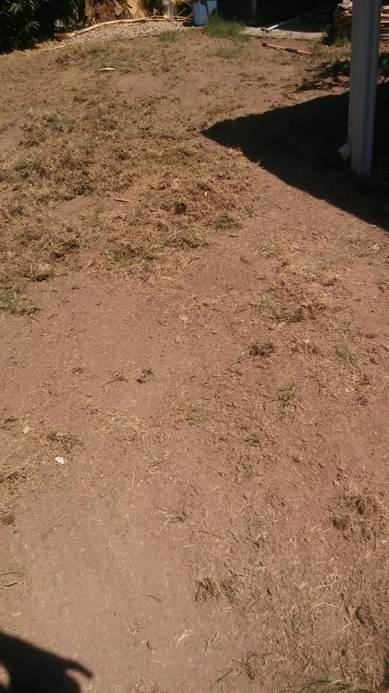 Trusted landscape installation in Las Vegas, NV by C&J Landscaping & More