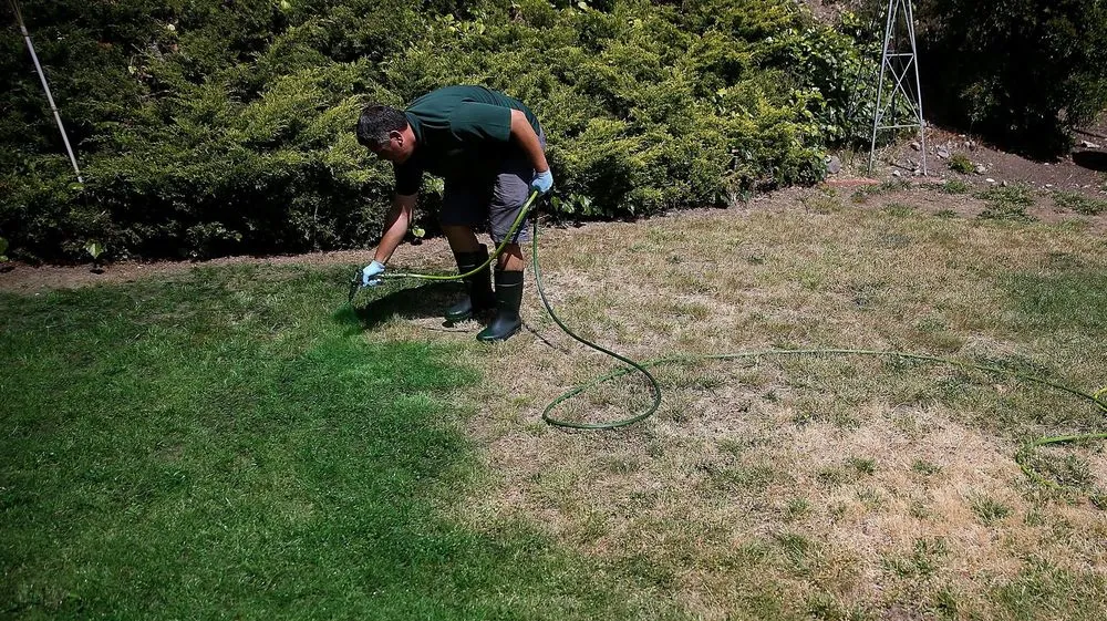 Expert landscape design in Upper Darby, PA - C&J Landscaping & Property Preservation