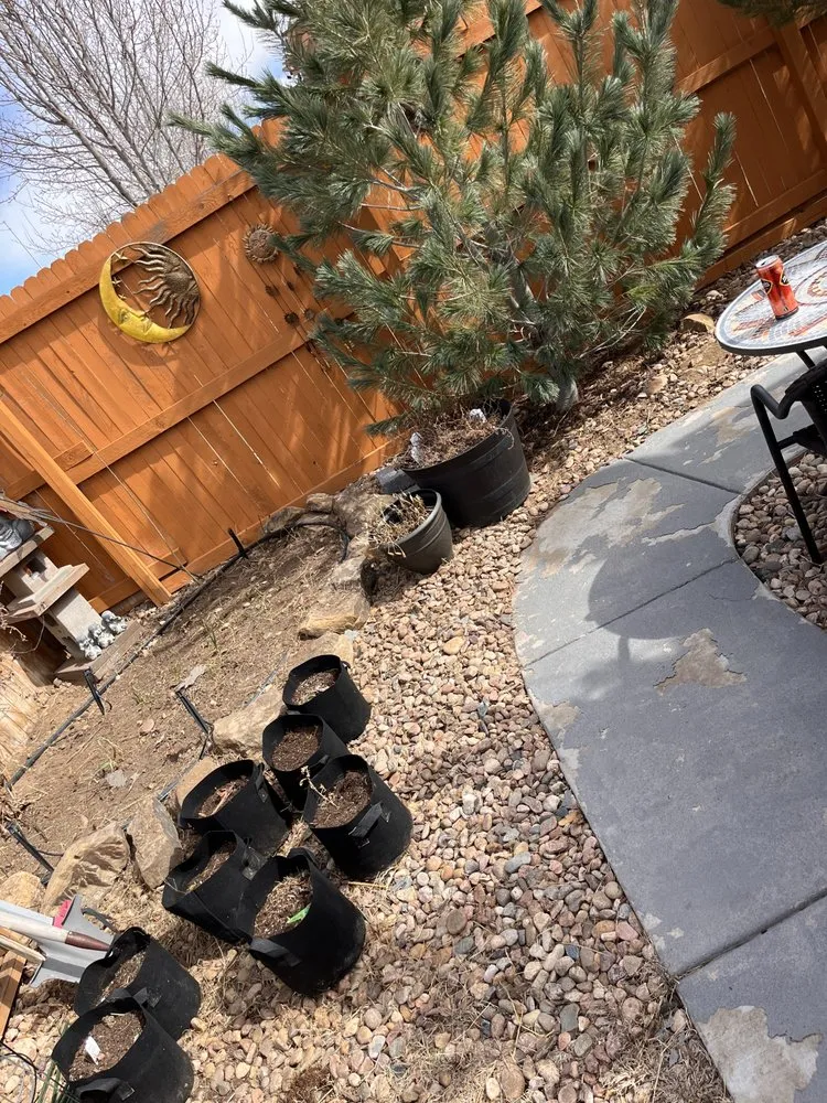 Professional lawn mowing service experts serving Commerce City, CO - CJ Landscaping