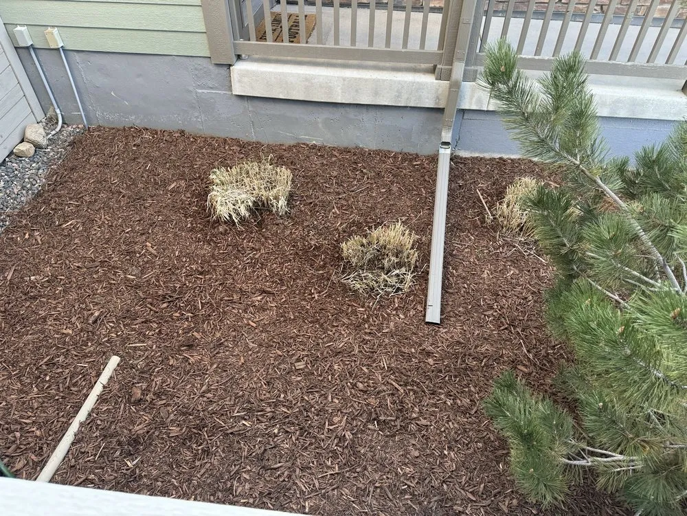 Local yard cleanup service in Commerce City, CO by CJ Landscaping