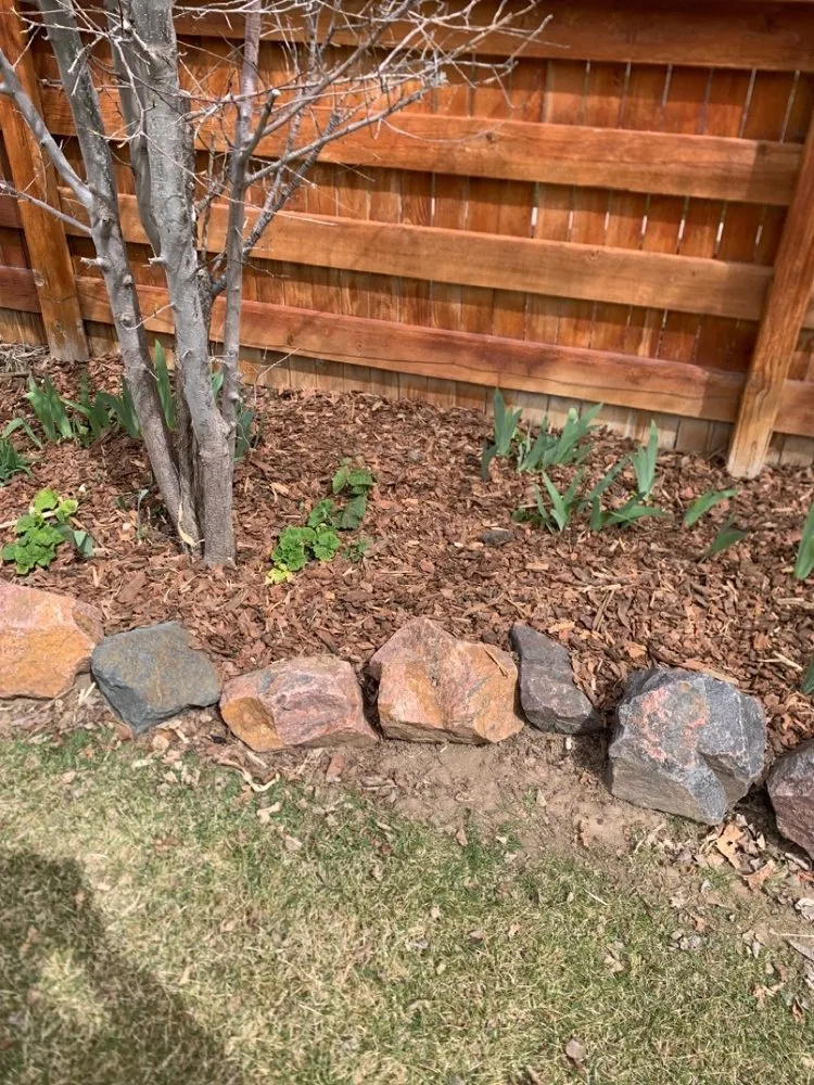 Professional yard maintenance in Commerce City, CO - CJ Landscaping