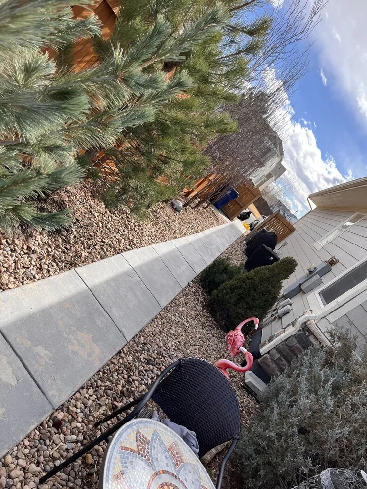 Top-rated yard cleanup service experts serving Commerce City, CO - CJ Landscaping