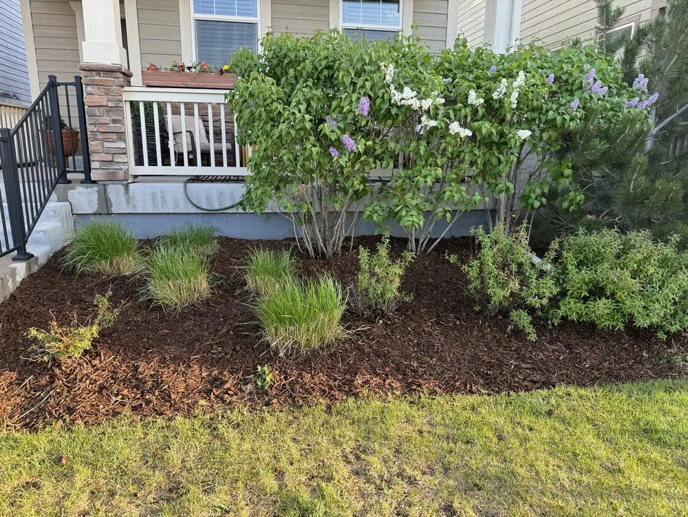 Top-rated yard cleanup service in Commerce City, CO - CJ Landscaping
