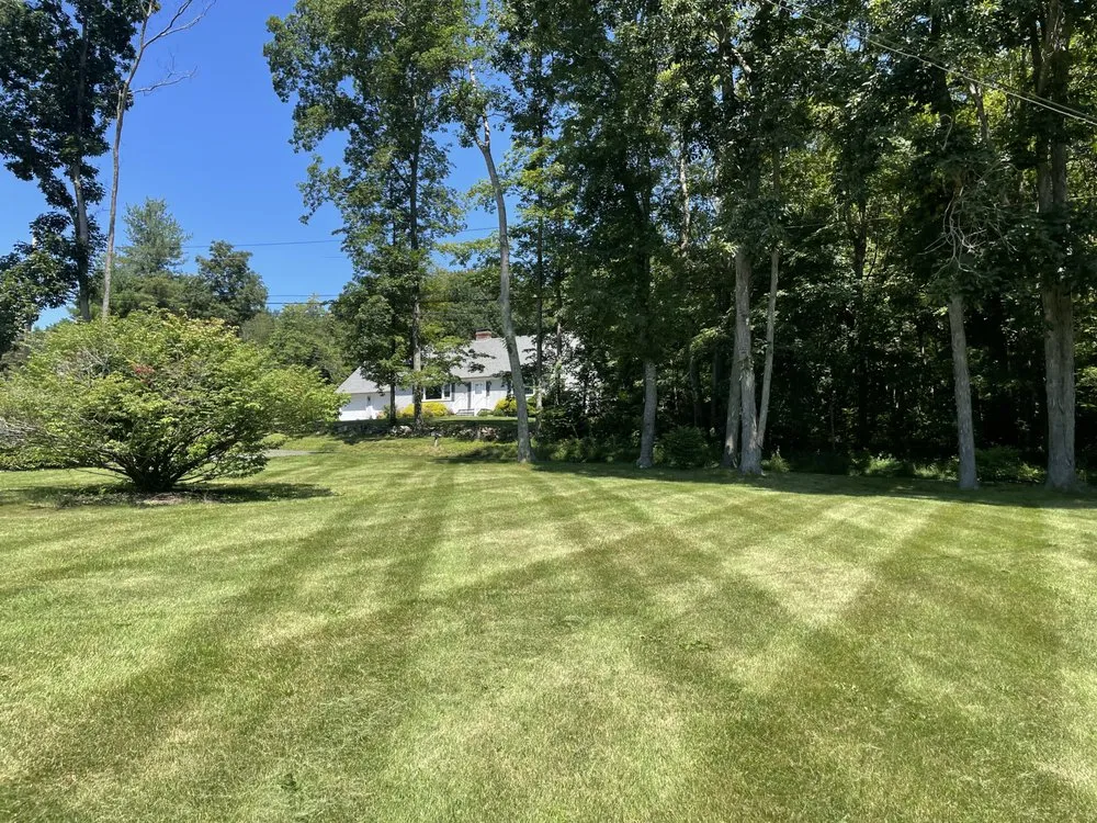 Trusted yard cleanup service for beautiful yards in Deep River, CT by CJ Landscaping