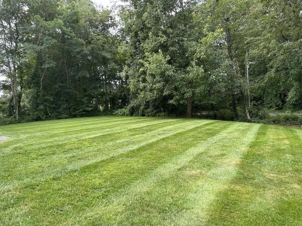 Top-rated yard maintenance for beautiful yards in Deep River, CT by CJ Landscaping