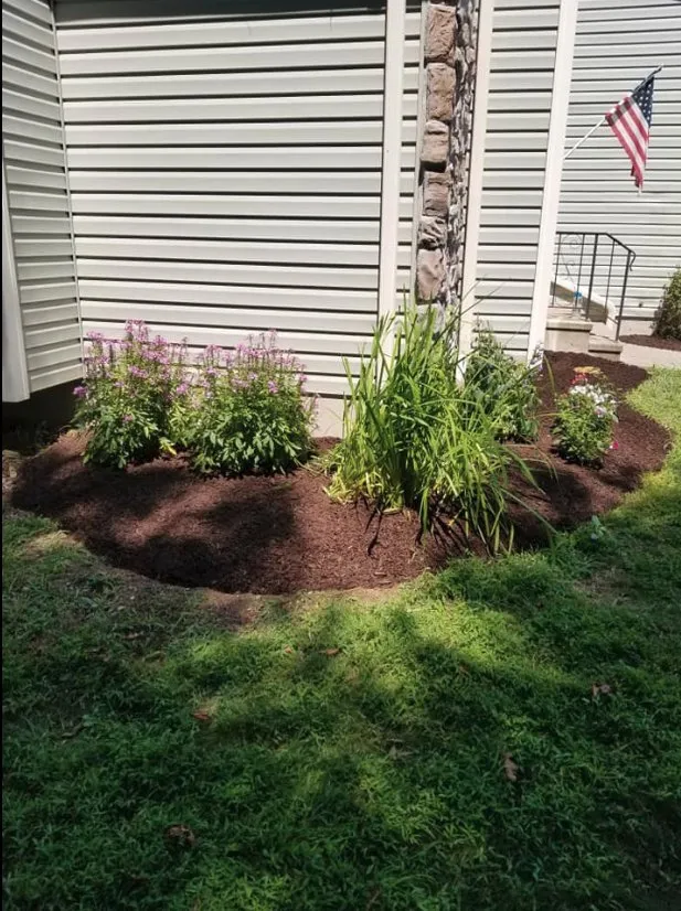Top-rated lawn care service for outdoor upgrades in Henryville, PA by CJ Landscaping
