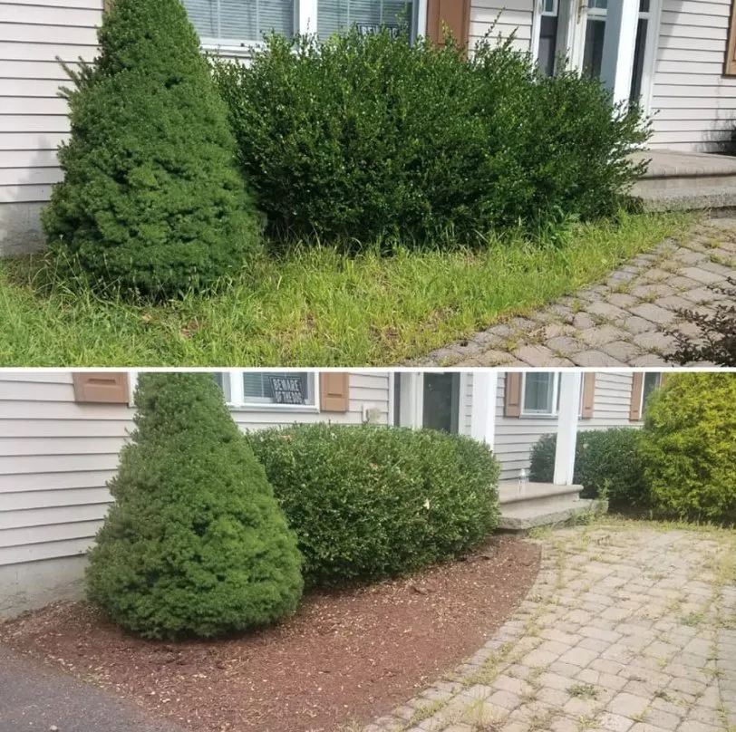 Affordable landscape installation in Henryville, PA - CJ Landscaping