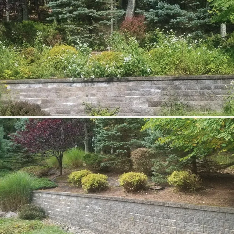 Professional residential landscaping for residential properties in Henryville, PA by CJ Landscaping