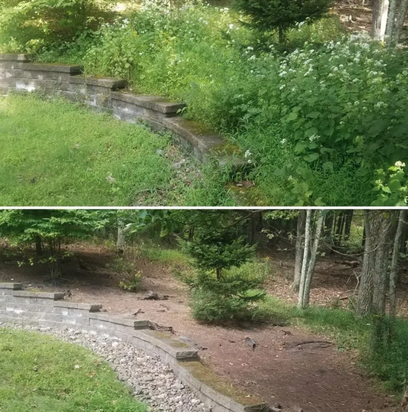 Affordable landscape design in Henryville, PA by CJ Landscaping