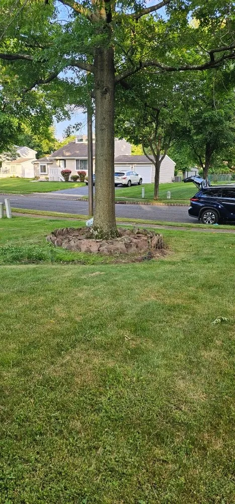 Expert landscape design experts serving North Plainfield, NJ - CJ Landscaping