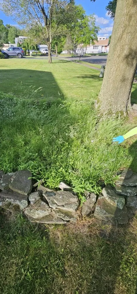 Top-rated lawn mowing service experts serving North Plainfield, NJ - CJ Landscaping