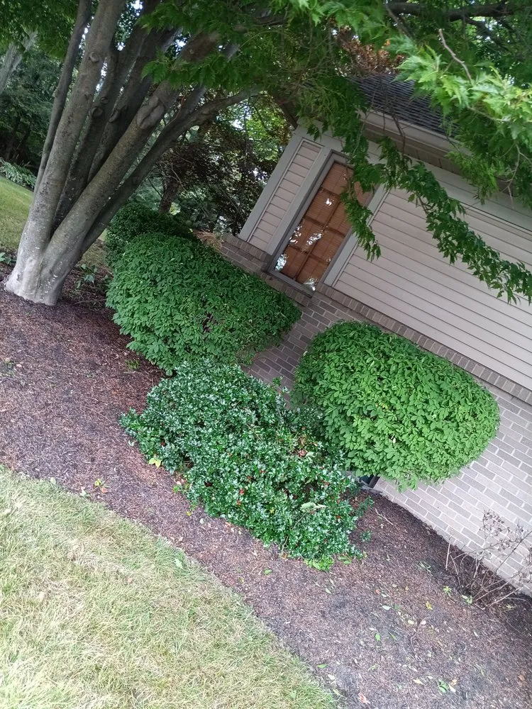 Expert landscaping services in Shelby, OH by C&J Landscaping Services