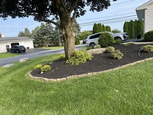 C&J Landscaping