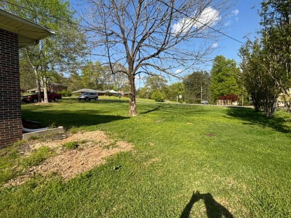 Top-rated yard cleanup service for year-round maintenance in Empire, AL by C&J Lawn Care