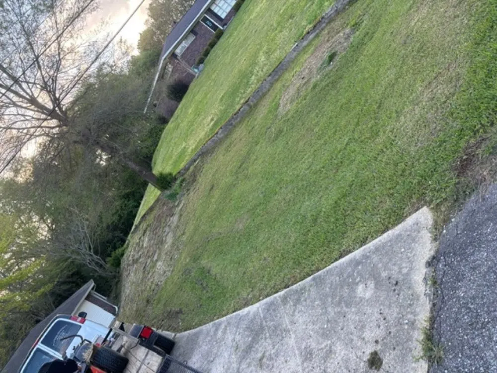 Expert yard cleanup service experts serving Empire, AL - C&J Lawn Care