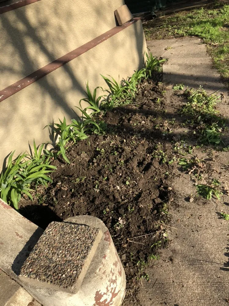 Expert lawn care service in Minneapolis, MN by C&J Lawn Care