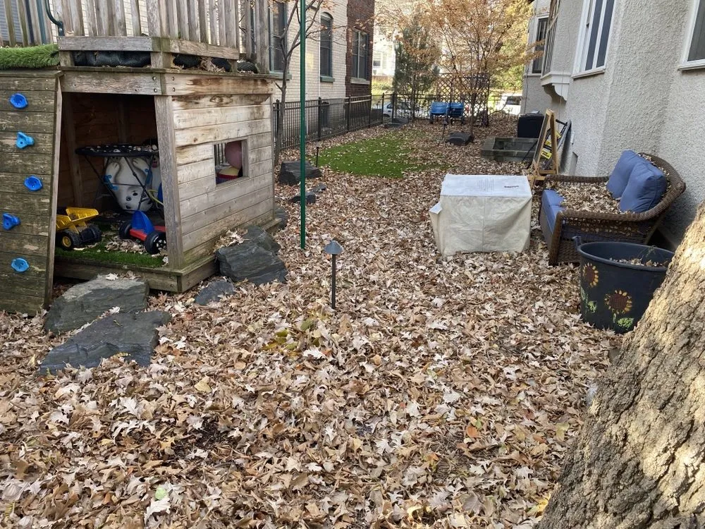 Expert outdoor landscaping in Minneapolis, MN - C&J Lawn Care