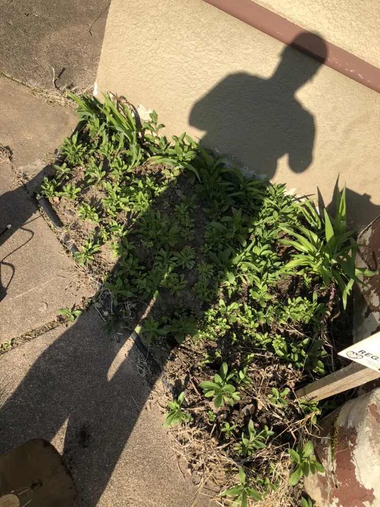 Custom residential landscaping for beautiful yards across Minneapolis, MN - C&J Lawn Care