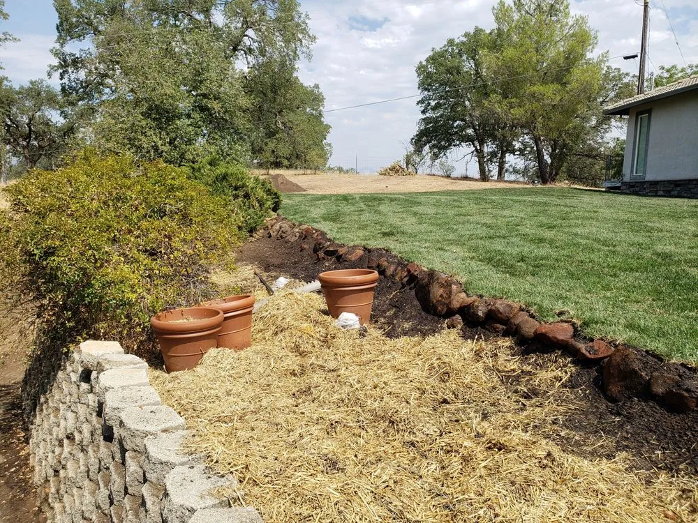 Trusted outdoor landscaping near you in Redding, CA by CJ Lawn Care