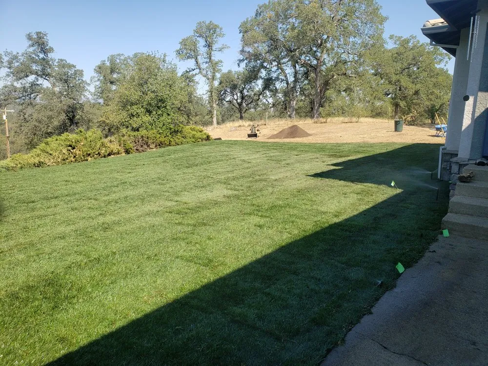 Trusted landscape design experts serving Redding, CA - CJ Lawn Care