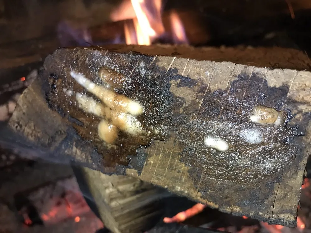 Top-rated residential landscaping in Simpsonville, SC - CJ Mulch and More