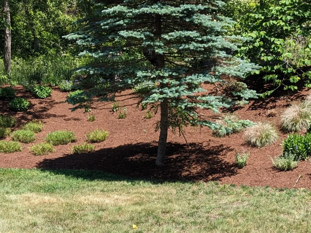Trusted landscape design near you in Harwich, MA by CJ Mullin Landscaping