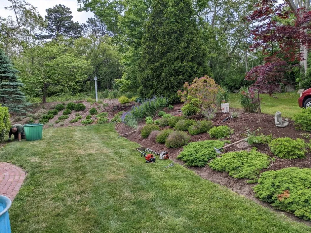 Professional landscape installation in Harwich, MA by CJ Mullin Landscaping