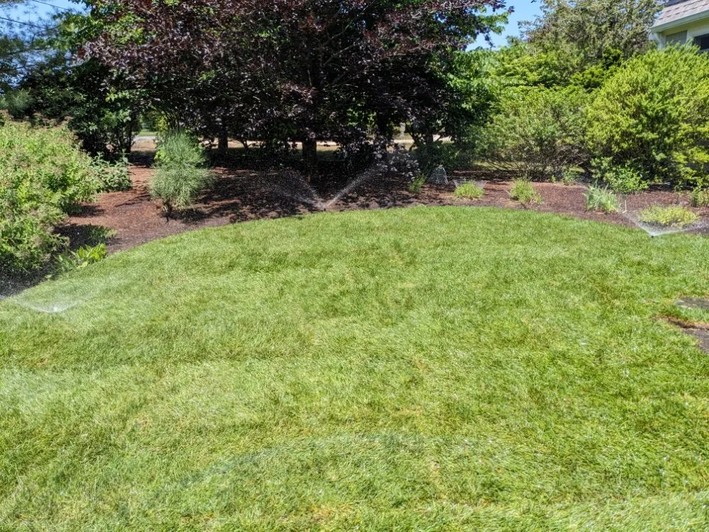Custom yard cleanup service with custom design in Harwich, MA by CJ Mullin Landscaping