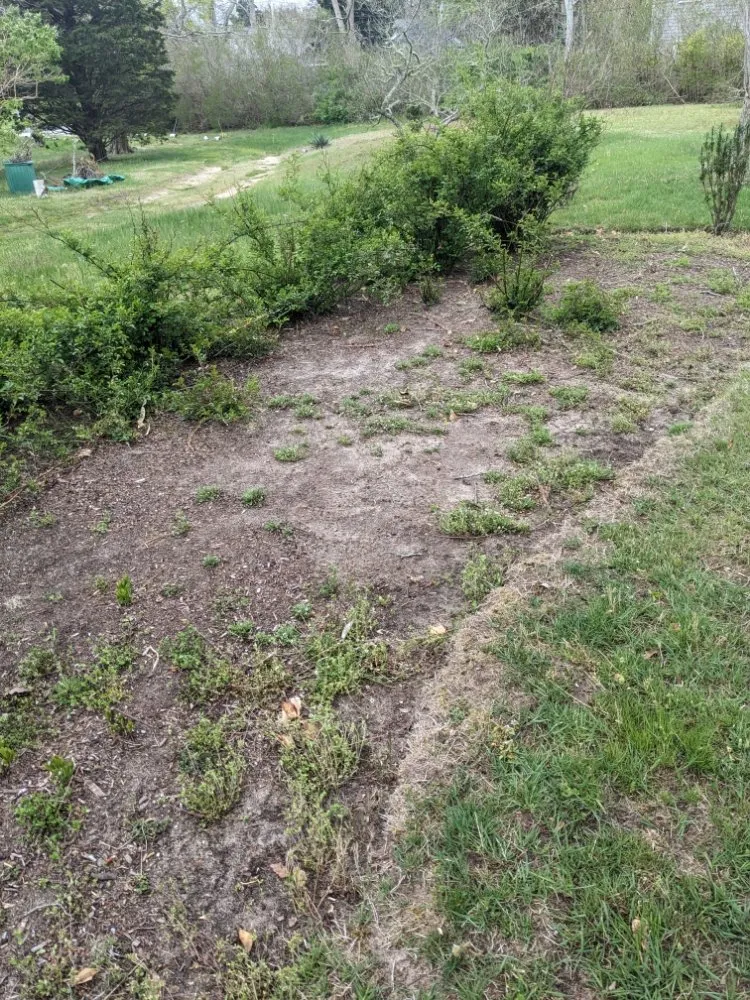 Affordable lawn mowing service experts serving Harwich, MA - CJ Mullin Landscaping