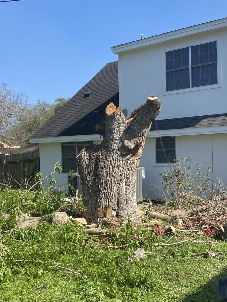 Expert yard maintenance in Victoria, TX - C&J Projects & Services