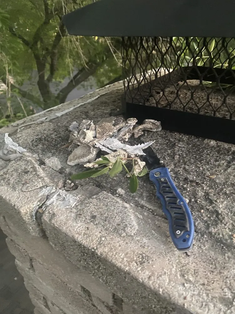 Local landscaping services in Victoria, TX - C&J Projects & Services