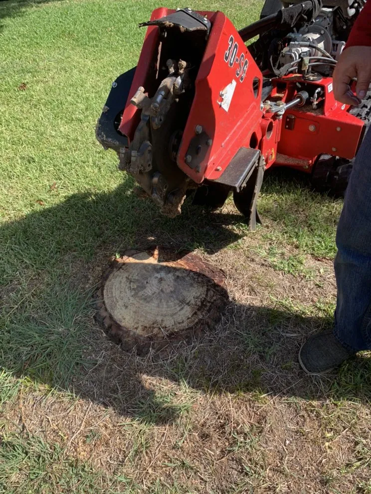 Trusted outdoor landscaping with custom design across Fort Worth, TX - C&J Property Maintenance