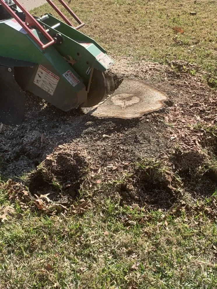 Local yard maintenance in Fort Worth, TX - C&J Property Maintenance