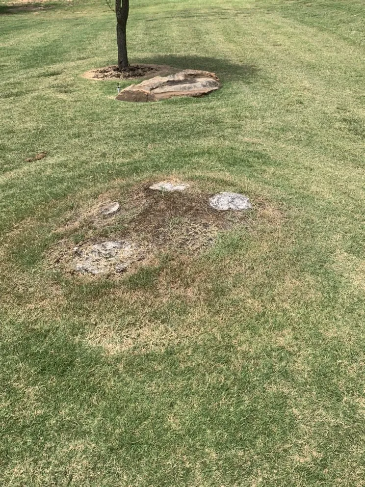 Top-rated yard maintenance for outdoor upgrades across Fort Worth, TX - C&J Property Maintenance