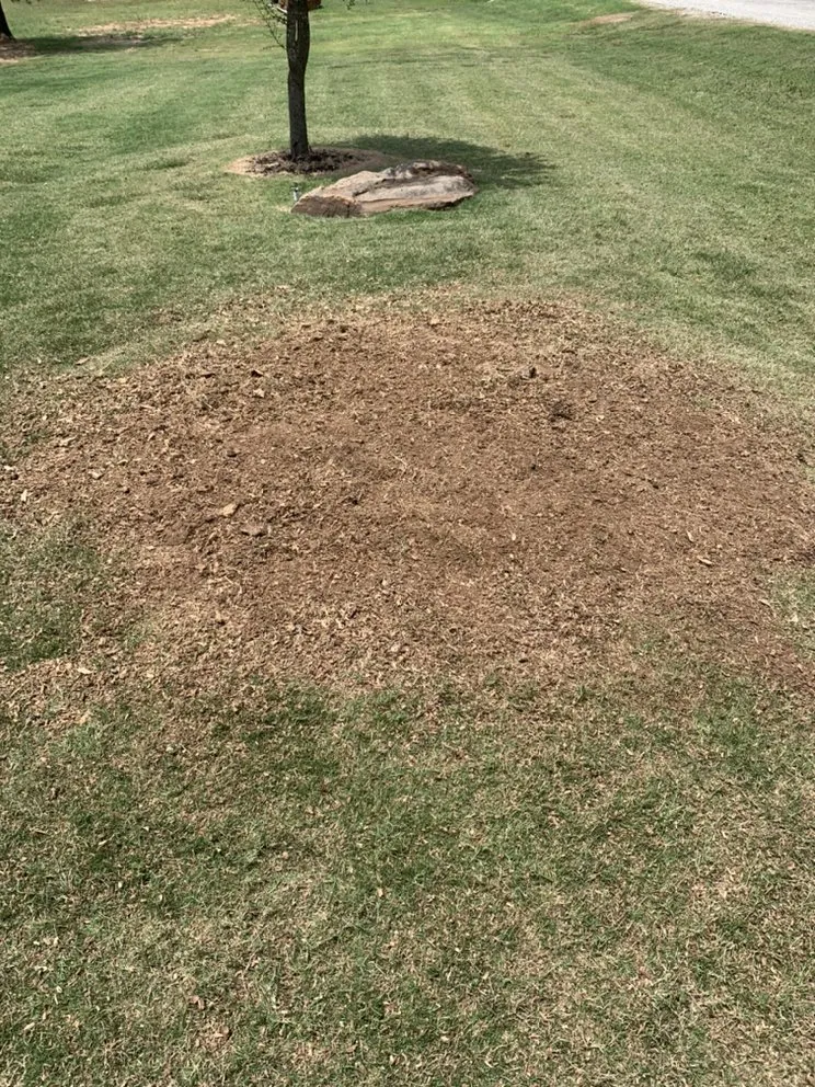 Expert outdoor landscaping experts serving Fort Worth, TX - C&J Property Maintenance