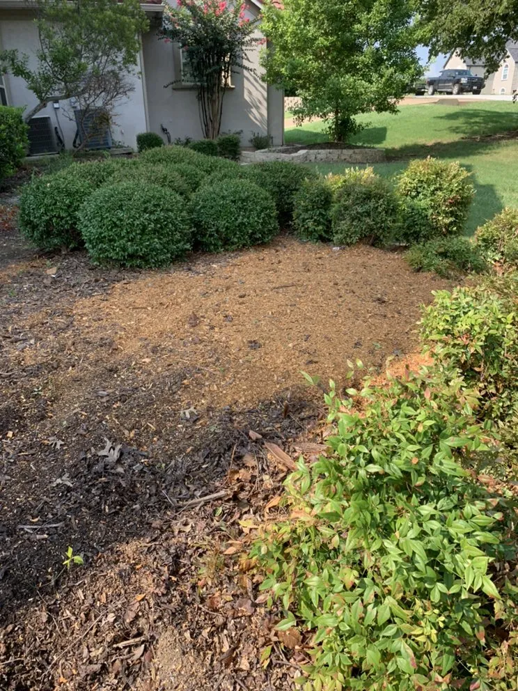 Expert lawn care service experts serving Fort Worth, TX - C&J Property Maintenance