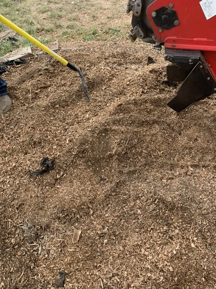 Affordable garden landscaping in Fort Worth, TX - C&J Property Maintenance