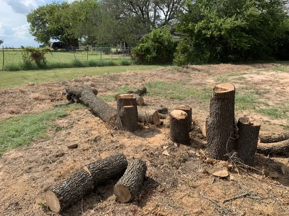 Reliable lawn mowing service for year-round maintenance across Fort Worth, TX - C&J Property Maintenance