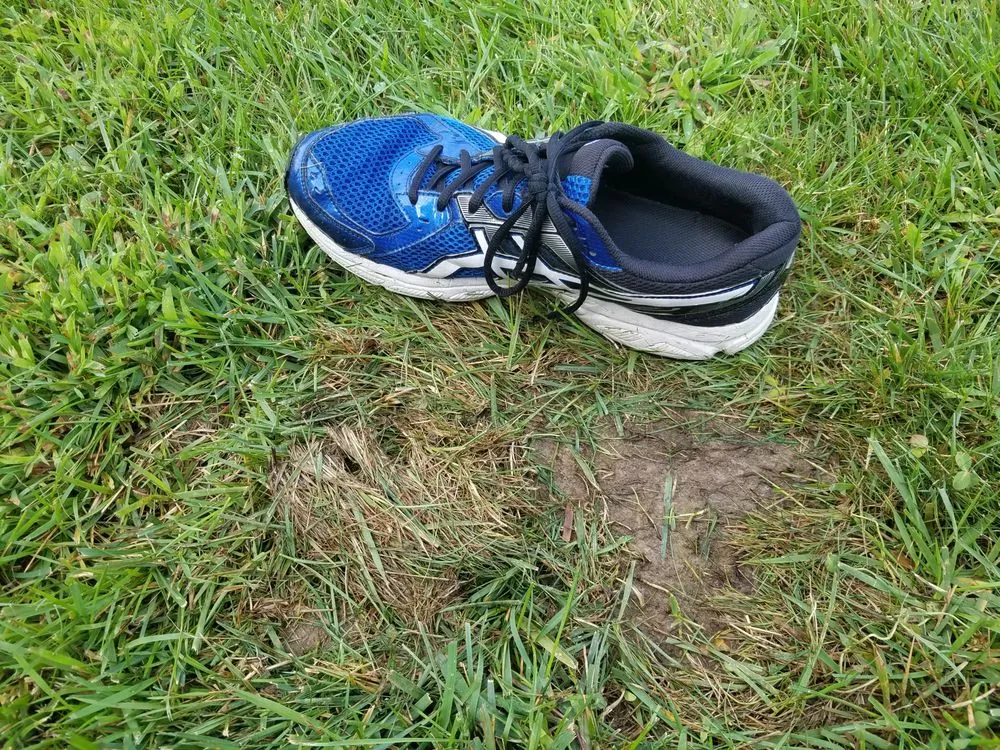 Local lawn mowing service experts serving Lincoln, RI - CJ Tree Service