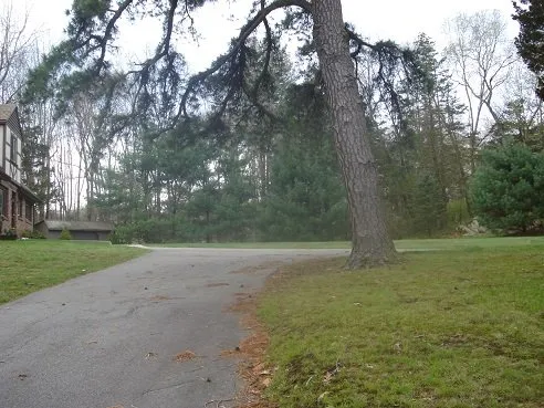 Reliable landscape design in Lincoln, RI by CJ Tree Service