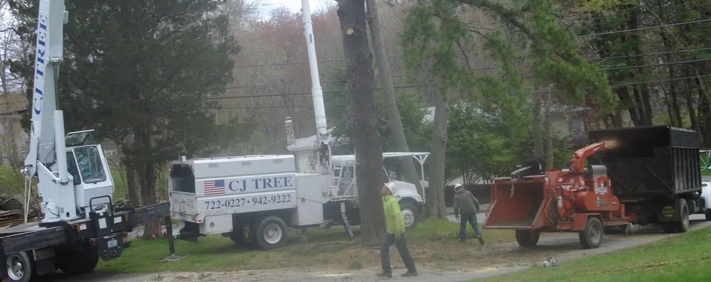 Professional landscaping services in Lincoln, RI - CJ Tree Service
