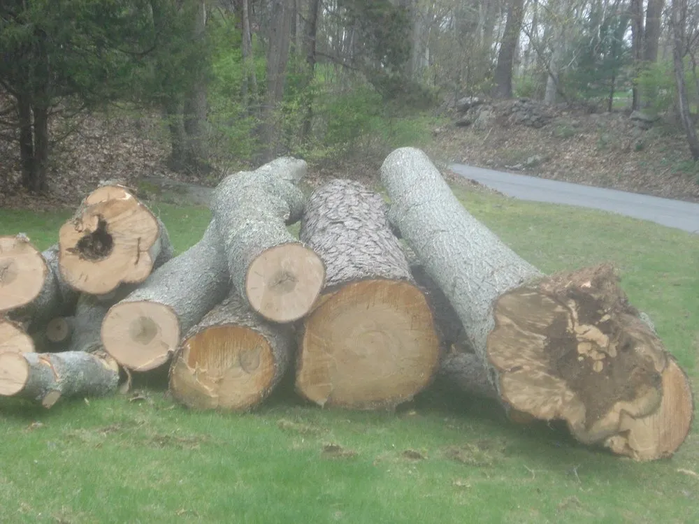 Custom lawn care service for residential properties in Lincoln, RI by CJ Tree Service